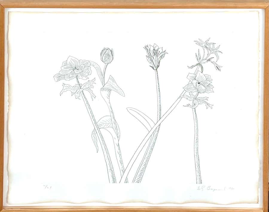 Zen Minimalist Flowers Etching American Modernist Ed Baynard Pop Art Print