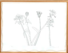 Zen Minimalist Flowers Etching American Modernist Ed Baynard Pop Art Print