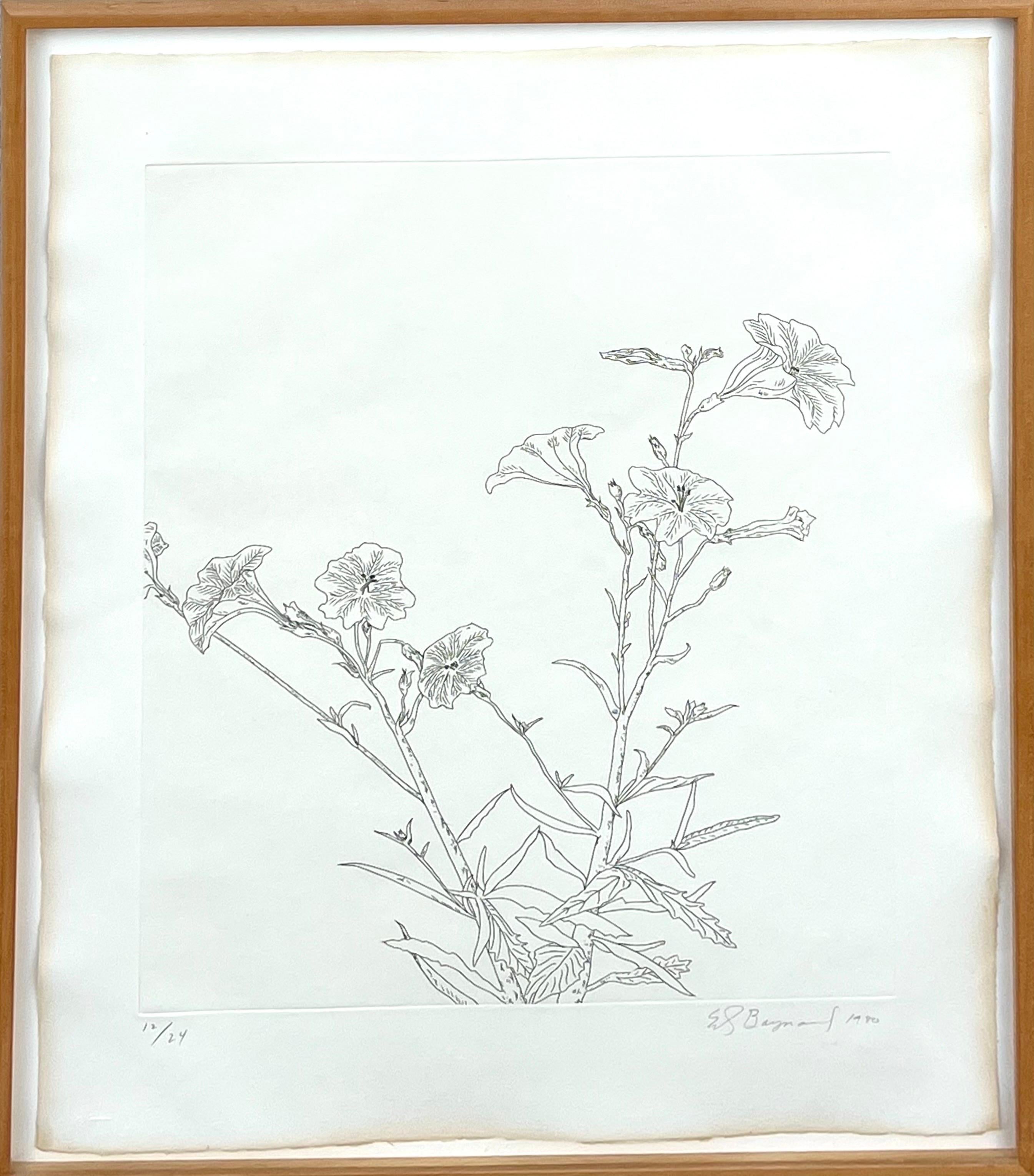 ED BAYNARD (American, 1940-2016)
Flowers, Flowers in a Vase, Etching. 
1979/1980, 
Hand signed, dated l.r., 
Hand numbered from small edition  12/24, 
Dimensions: 23 by 19 in. Framed 25 by 21 in


Born in Washington, D.C. in 1940. Raised in