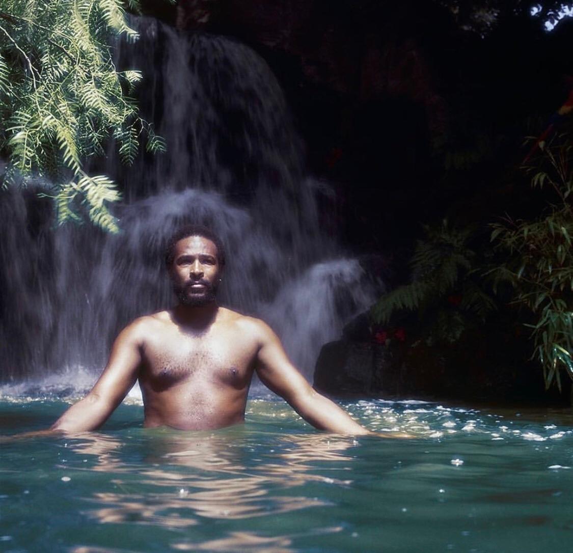 Ed Caraeff Color Photograph – Marvin Gaye 