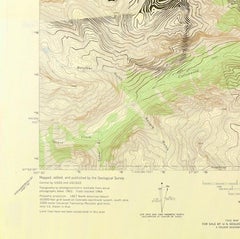 „San Juan Mountains“ (2023) Plakatdruck in limitierter Auflage, Porträt einer Frau