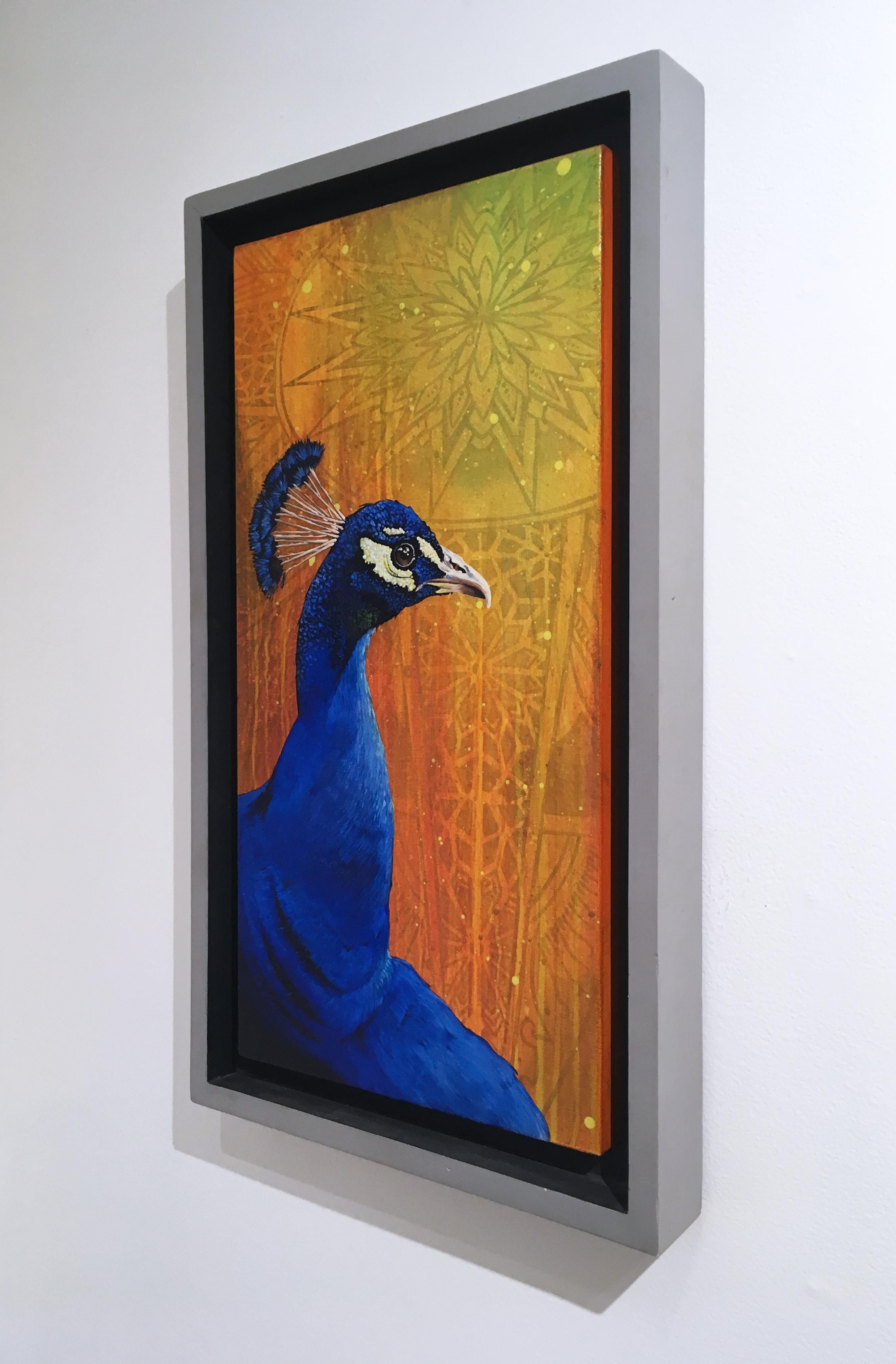 Pavone, della leggenda della street art TDEE, incorniciato su misura, giallo, arancione, blu, motivo (2016).  Blu e arancioni brillanti.  Pittura figurativa.  Artista di strada.  Graffiti writer.