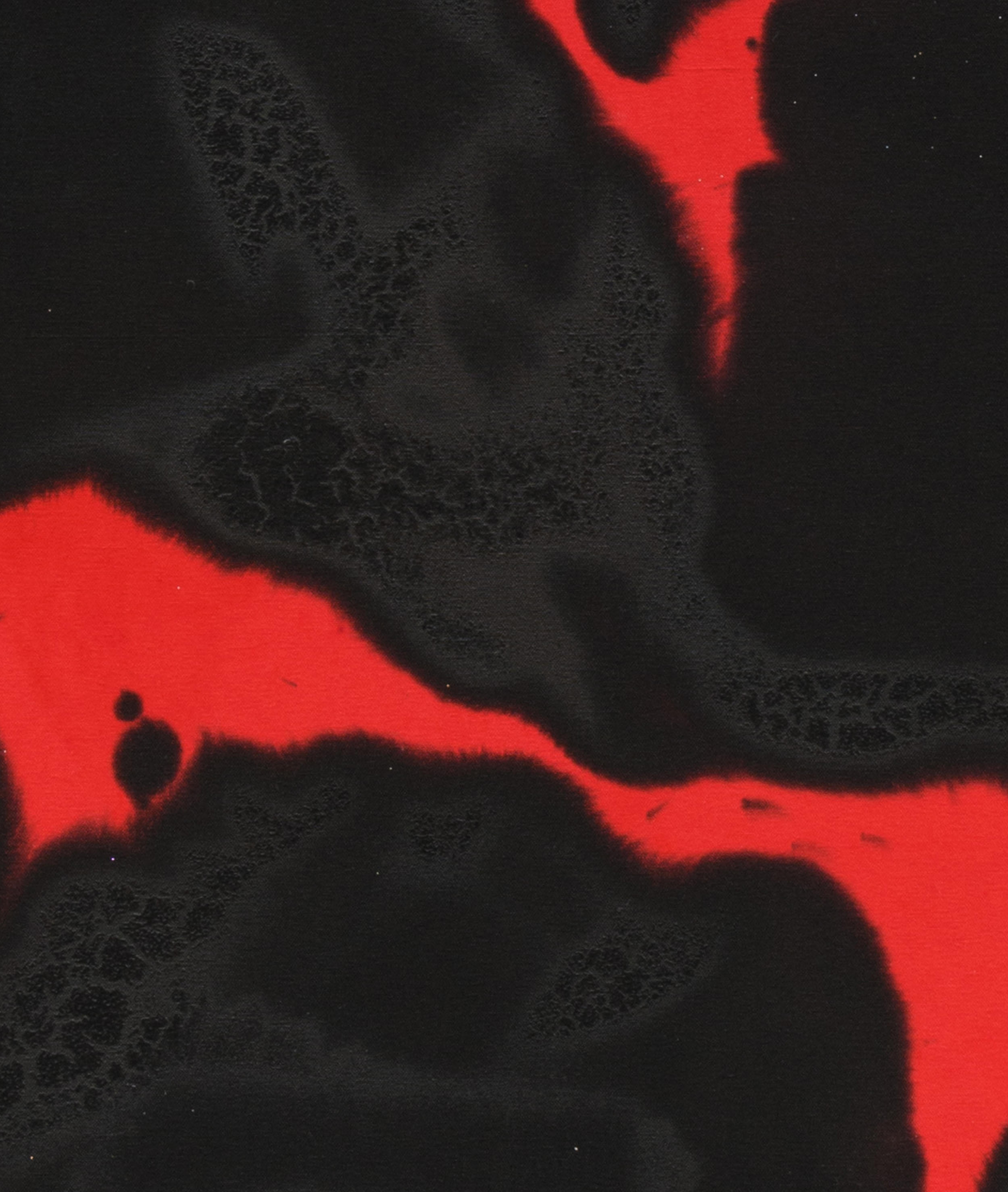 Il Grande Rosso in vendita 1