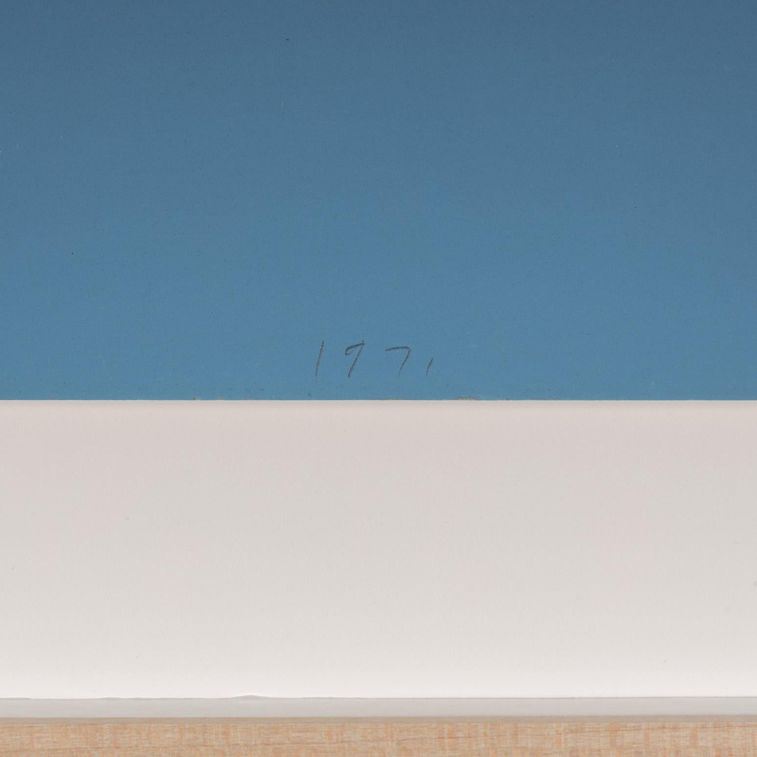 Blue Suds For Sale 5