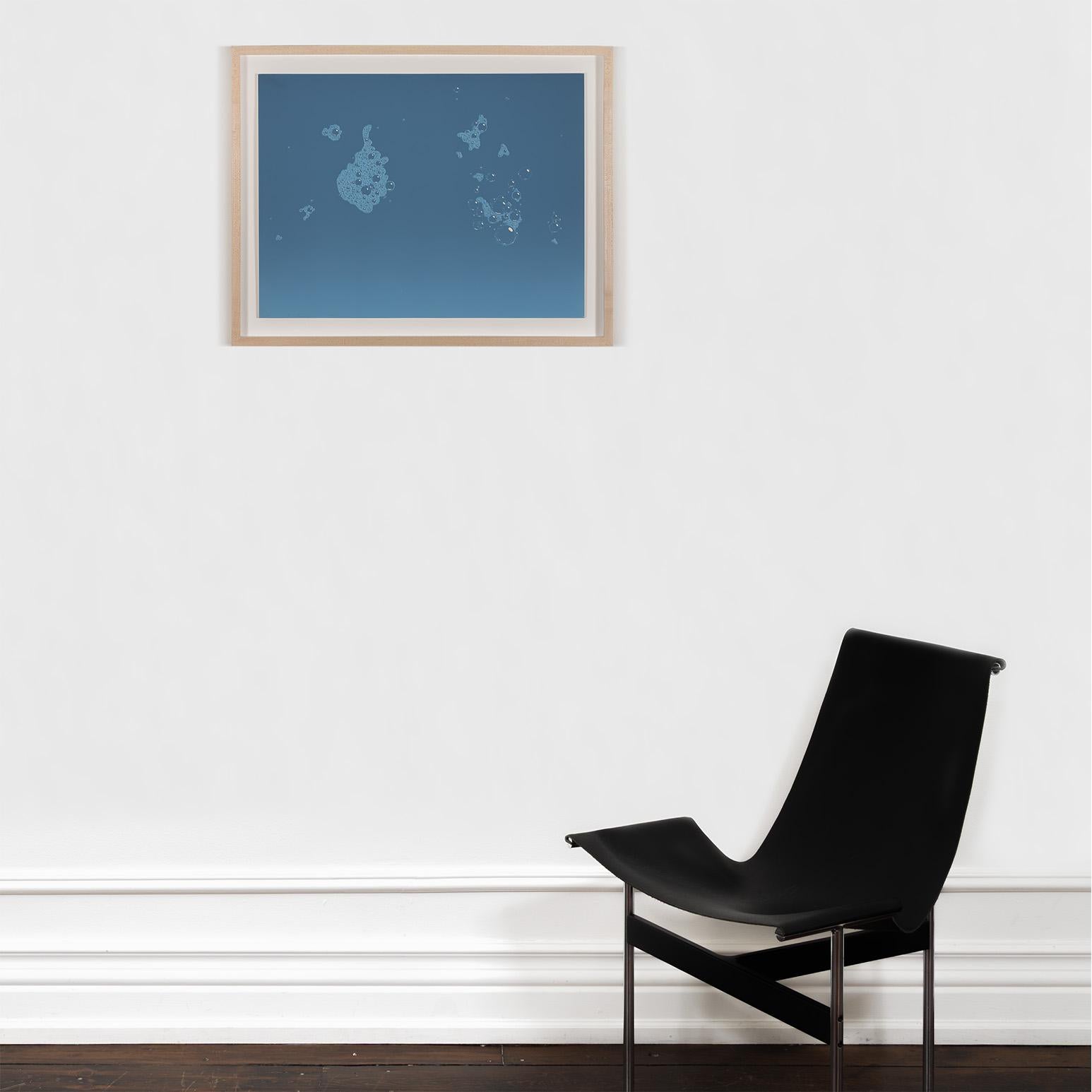 Blue Suds For Sale 6