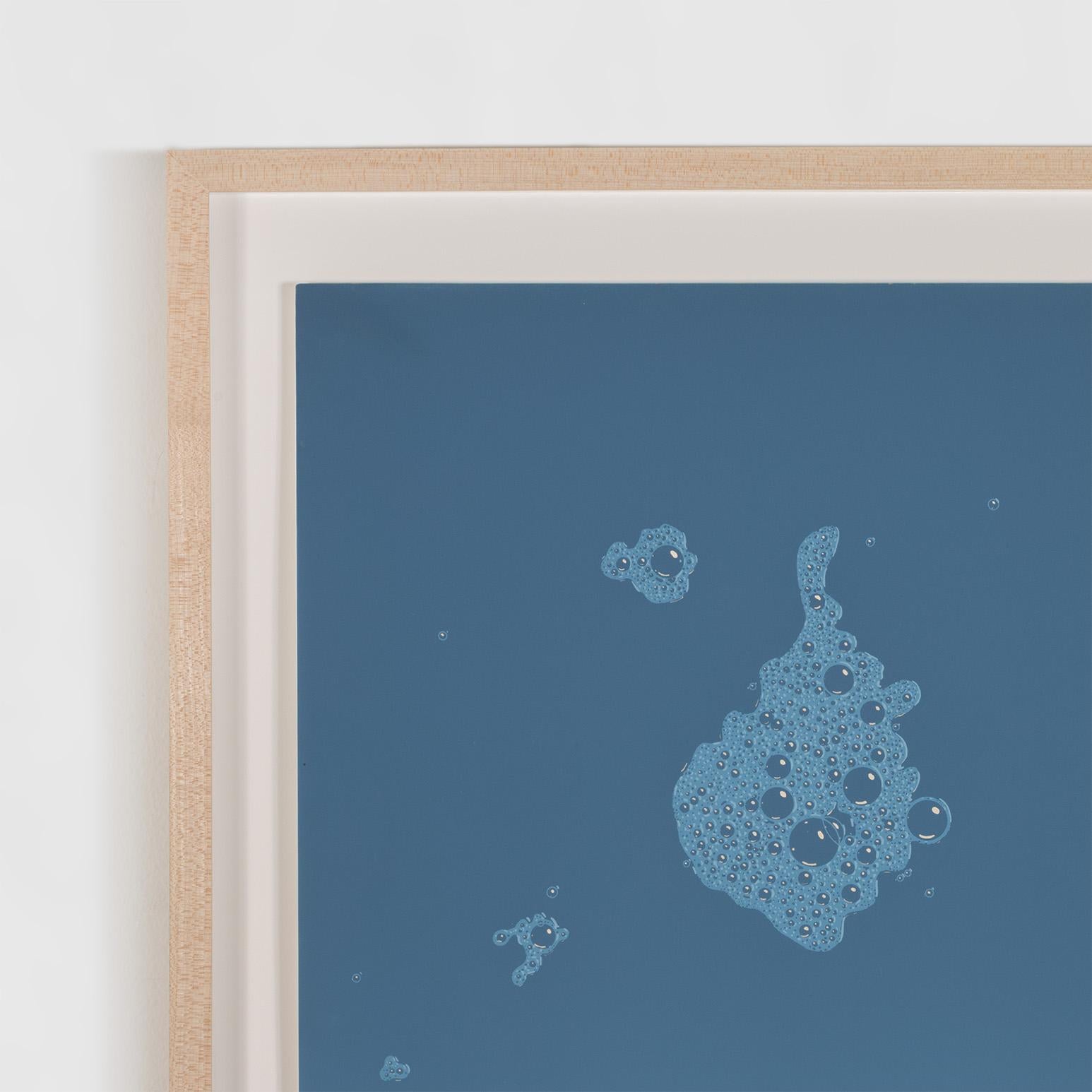 Blue Suds For Sale 7