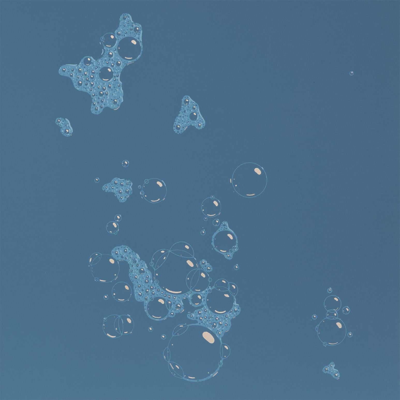 Blue Suds For Sale 1