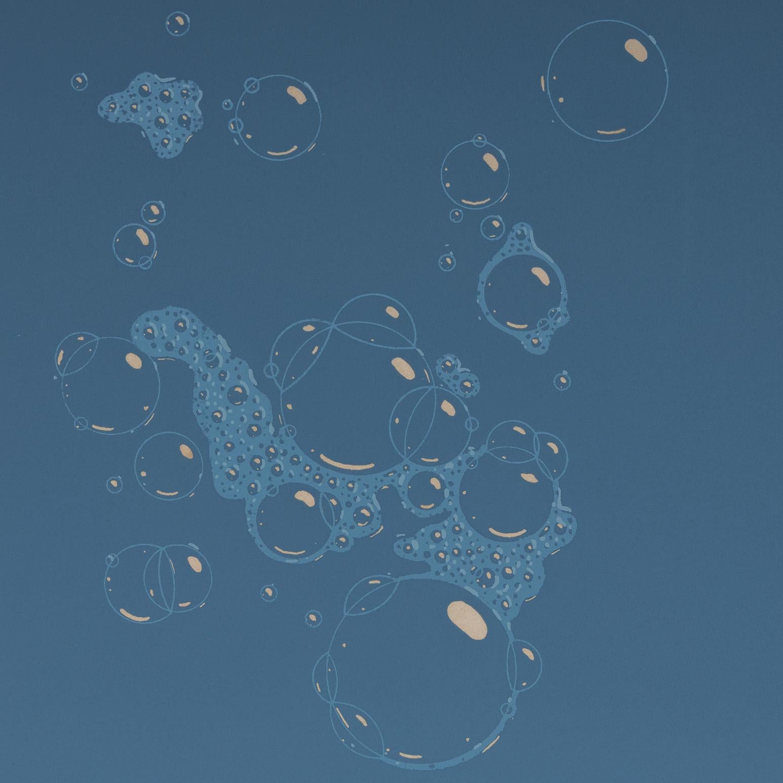 Blue Suds For Sale 2