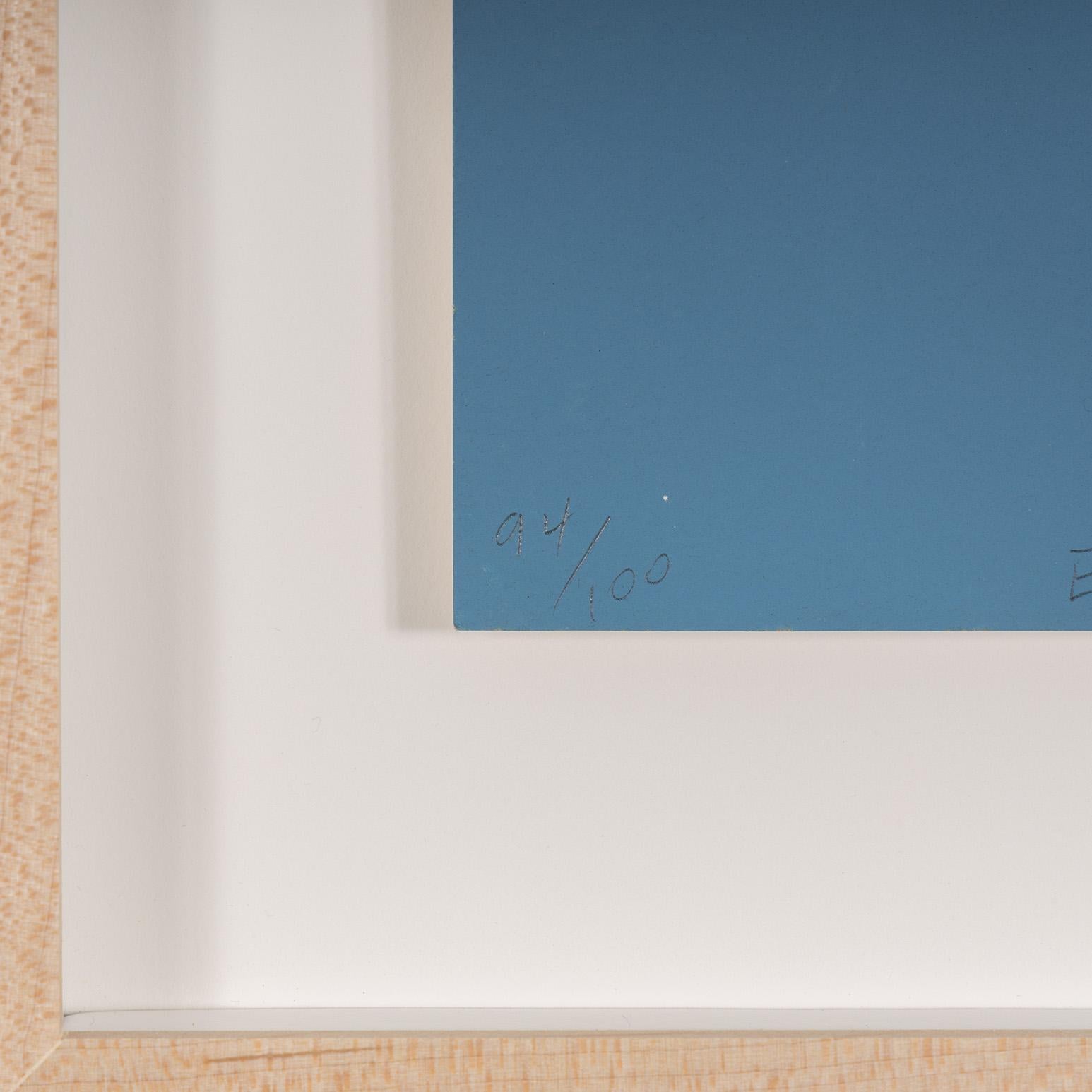 Blue Suds For Sale 4