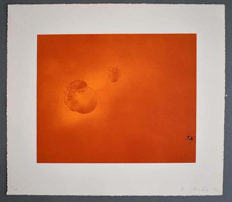 Boiling Blood, Fly, 1969 - Print by Ed Ruscha