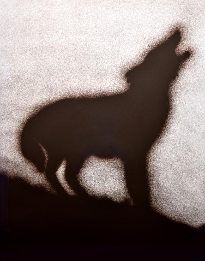 Coyote - Modern Print by Ed Ruscha