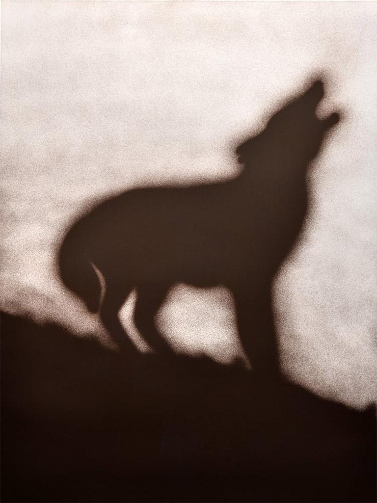 Ed Ruscha Animal Print - Coyote