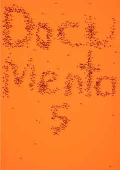 Documenta 5 (Engberg 66) early 1970s screenprint signed/N for Kassel art show