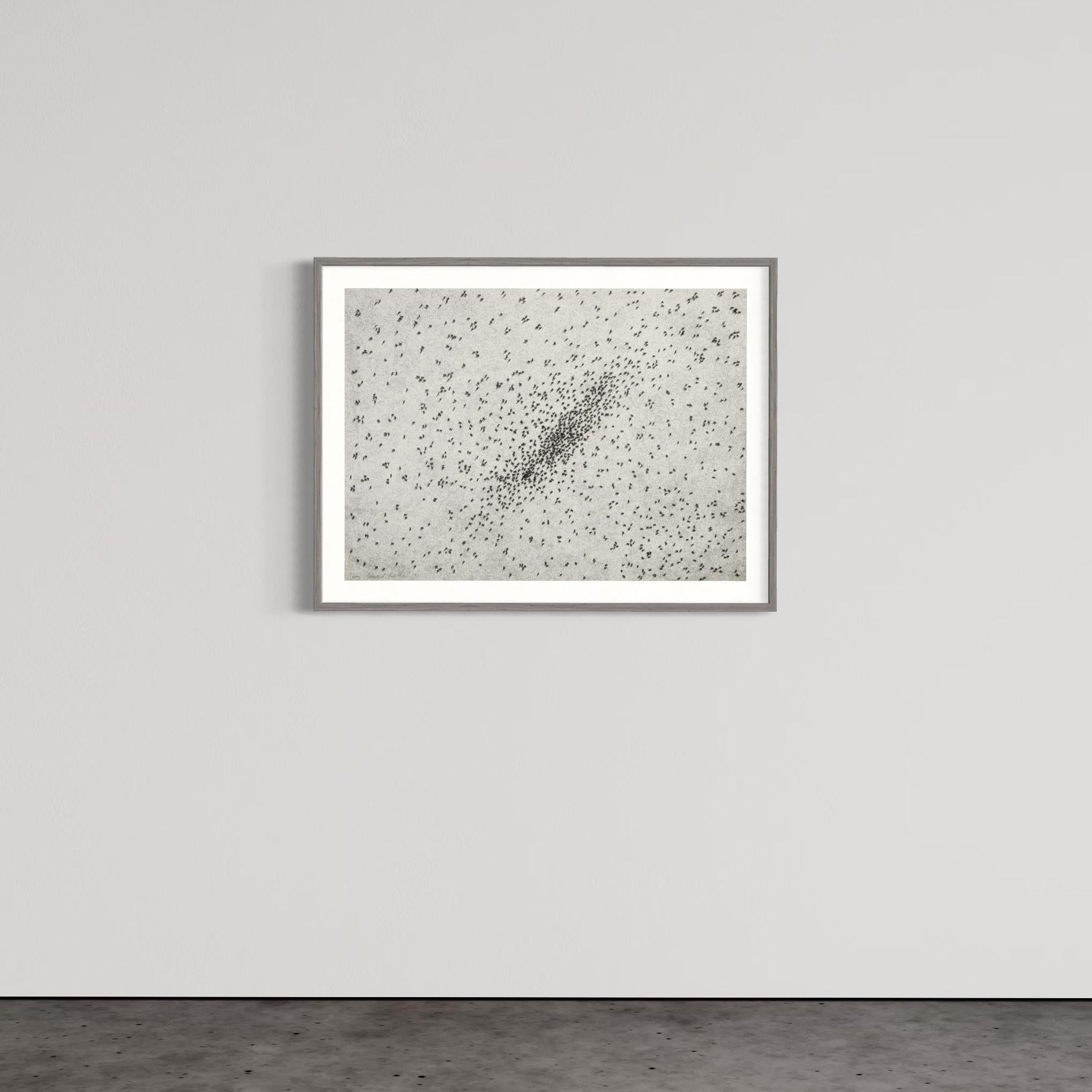 Ed Ruscha, Insect Slant (Ants) - Lithograph and Screenprint, 1973, Signed Print 3