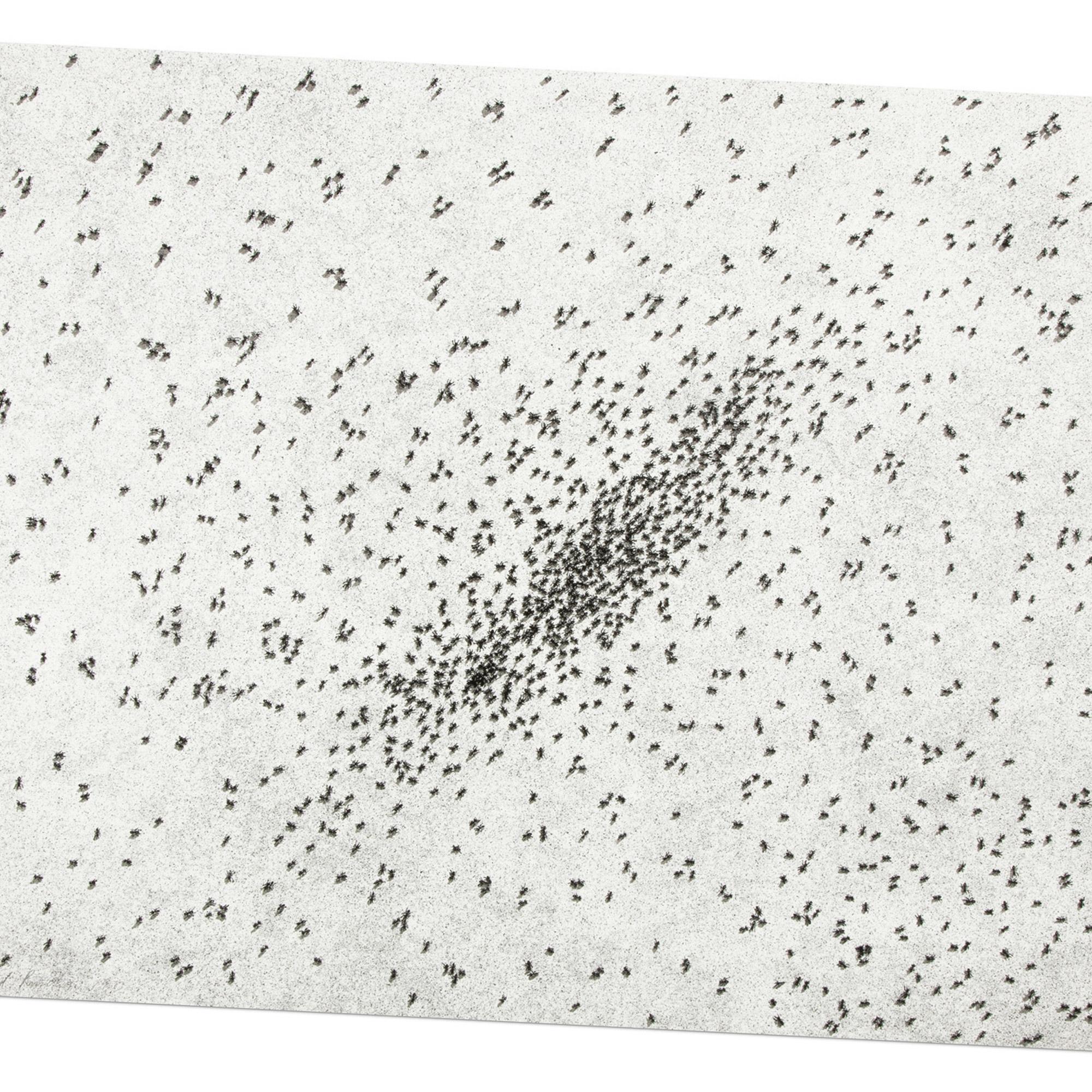 Ed Ruscha, Insect Slant (Ants) - Lithograph and Screenprint, 1973, Signed Print 4