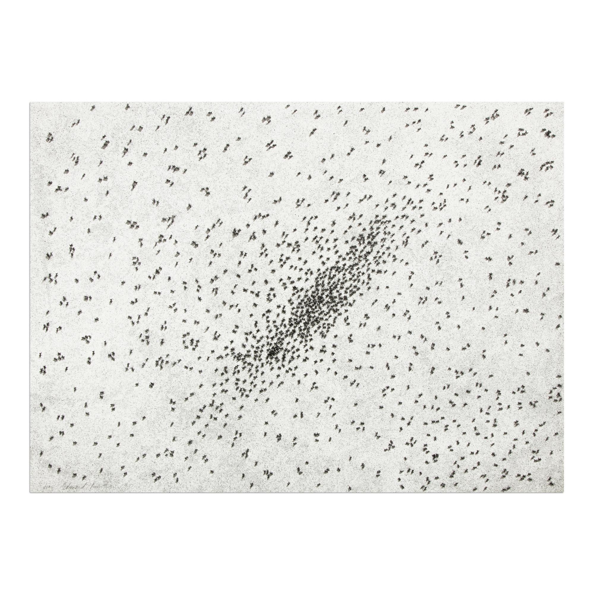 Ed Ruscha (Amerikaner, geboren 1937)
Insect Slant (Ameisen), aus Realität und Paradoxien, 1973
Medium: Lithographie und Siebdruck, auf Rives BFK Papier
Abmessungen: 55,9 x 76,2 cm (22 x 30 Zoll)
Auflage 100 + 25 Probedrucke des Künstlers: