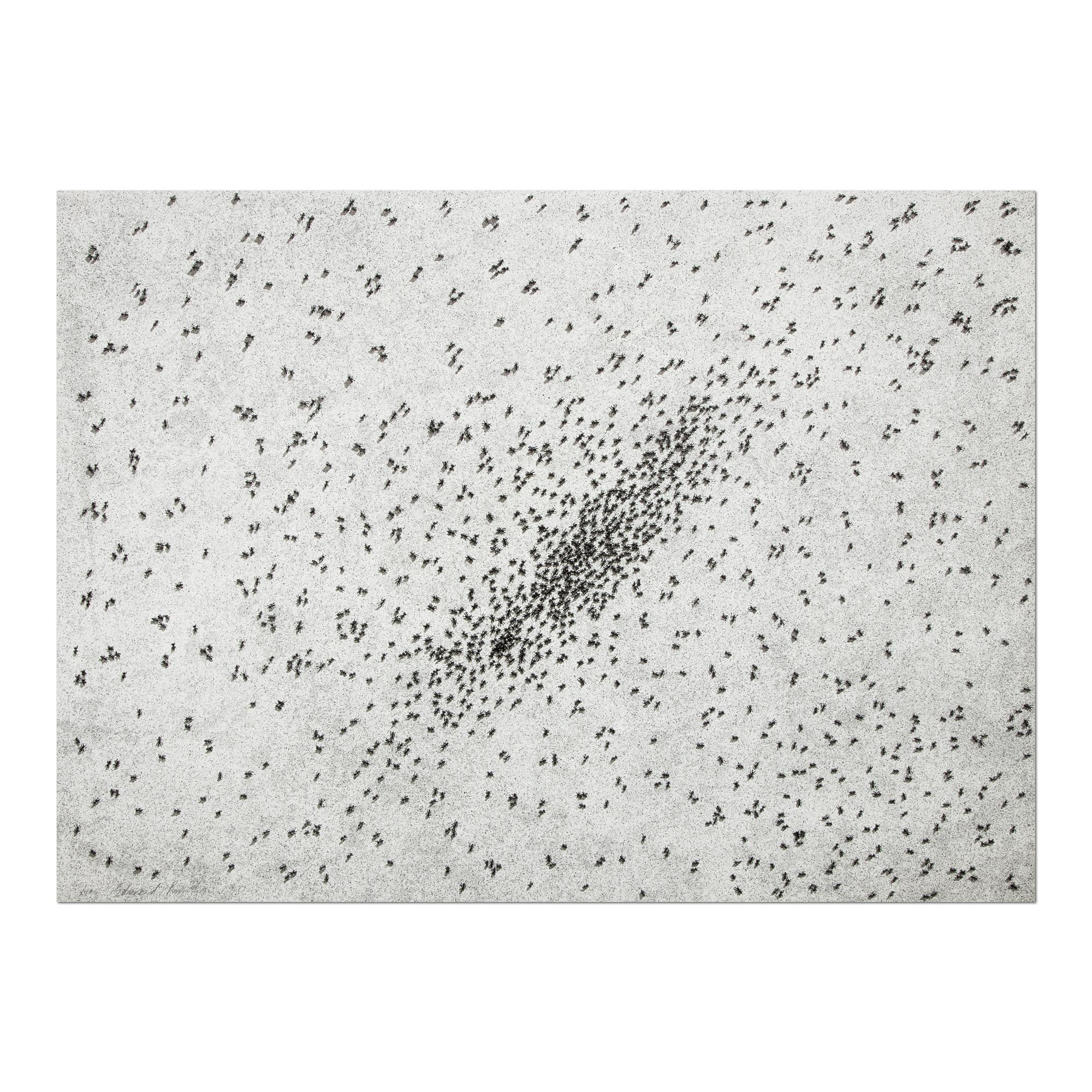 Ed Ruscha, Insect Slant (Ants) - Lithograph and Screenprint, 1973, Signed Print