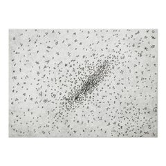 Ed Ruscha, Insect Slant (Ants) - Lithograph and Screenprint, 1973, Signed Print