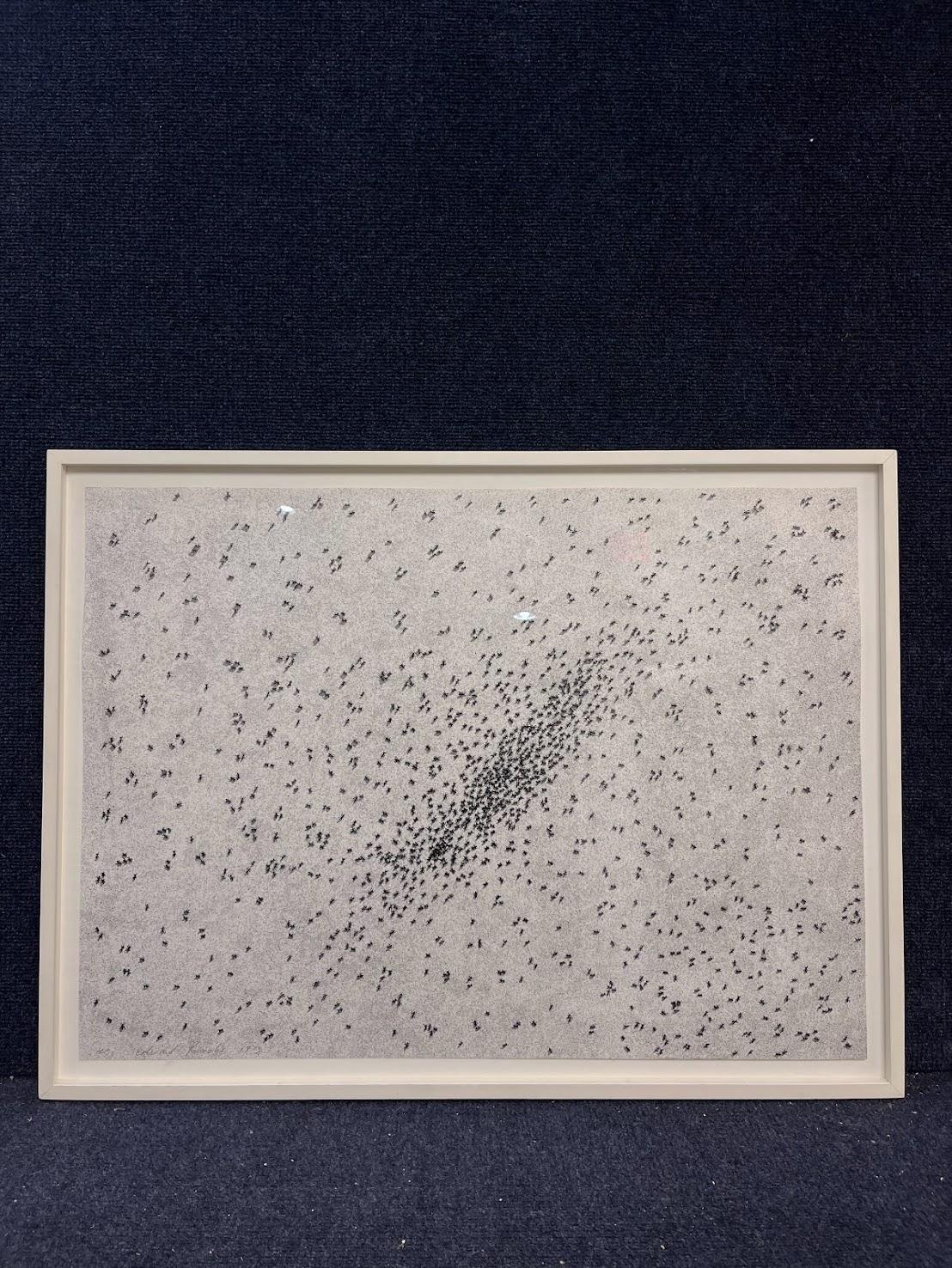 Ed Ruscha 'Insect Slant' 1973 For Sale 1