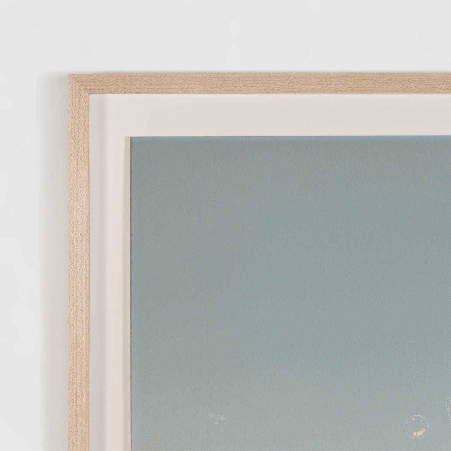 Grey Suds For Sale 6