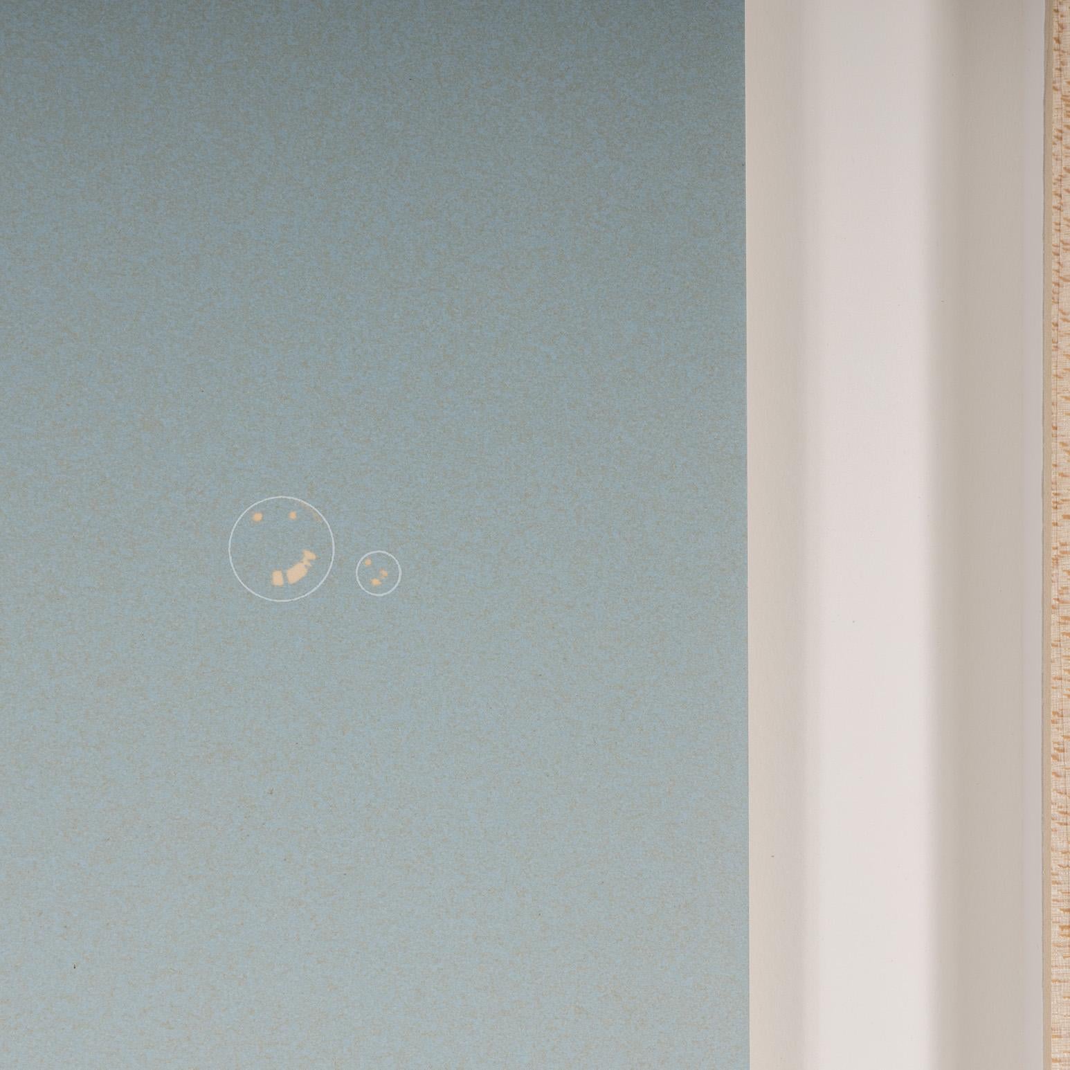 Grey Suds For Sale 2