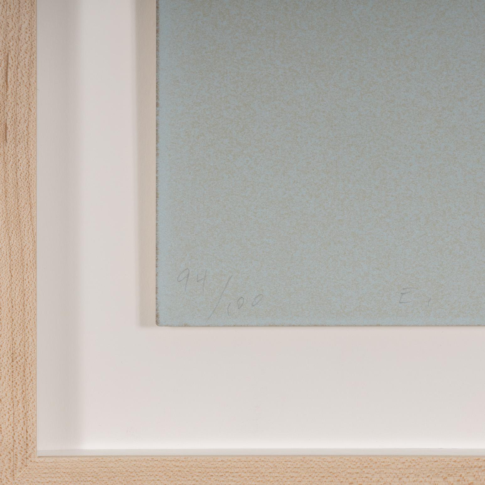 Grey Suds For Sale 3