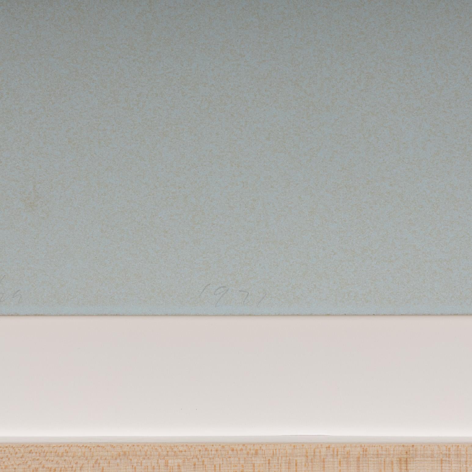 Grey Suds For Sale 4