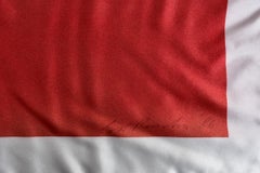 La scienza è verità scoperta - Sensibilizzazione all'AIDS della seta italiana