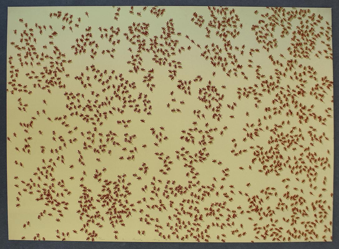 Swarm of Red Ants, from: Insects -American Pop Art Insects - Print by Ed Ruscha