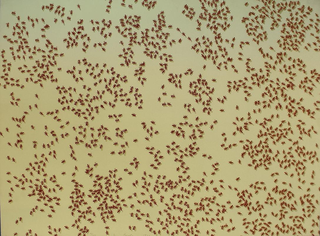 Ed Ruscha Animal Print - Swarm of Red Ants, from: Insects -American Pop Art Insects