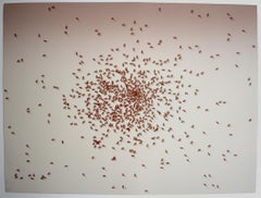 Swarm of Red Ants, from: Insects