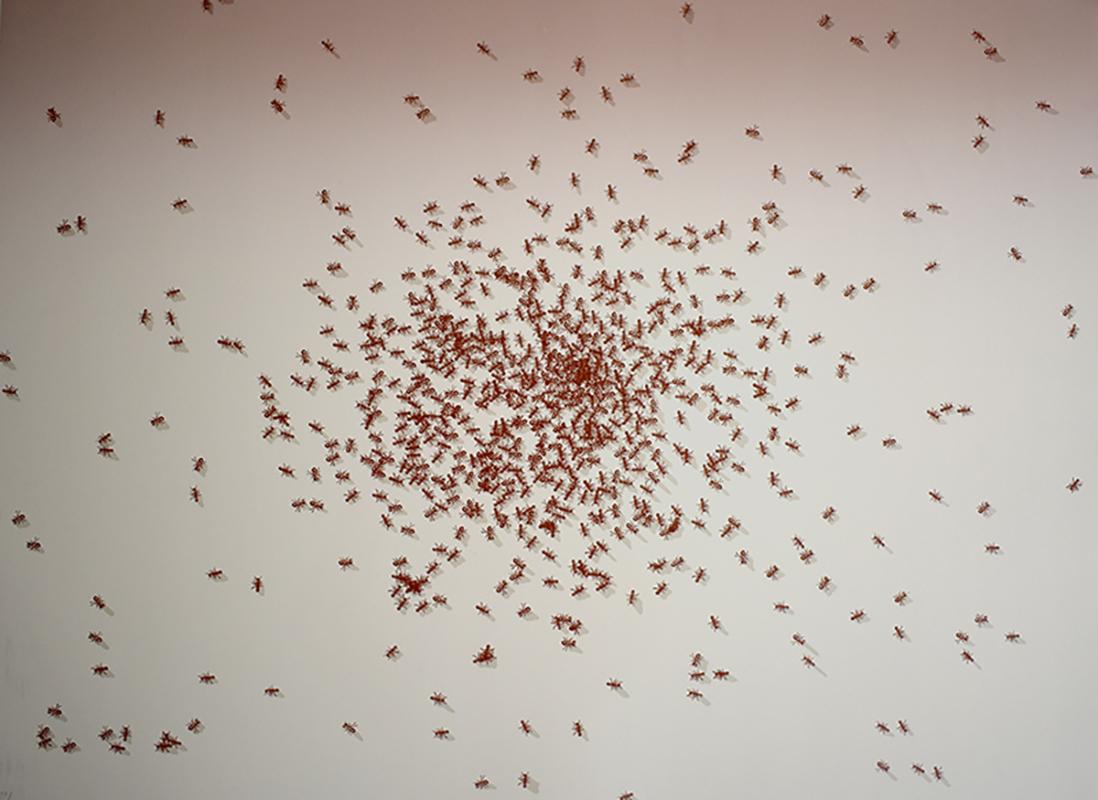 Swarm of Red Ants, from: Insects