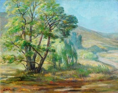 Mid Century Paraiso Hot Springs, Santa Lucia Foothills Landscape