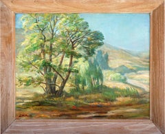 Mid Century Paraiso Hot Springs, Santa Lucia Foothills Landscape