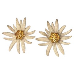 Clip-on Earrings