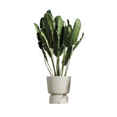 Jardinière d'extérieur Eden C en fibre de verre Myface