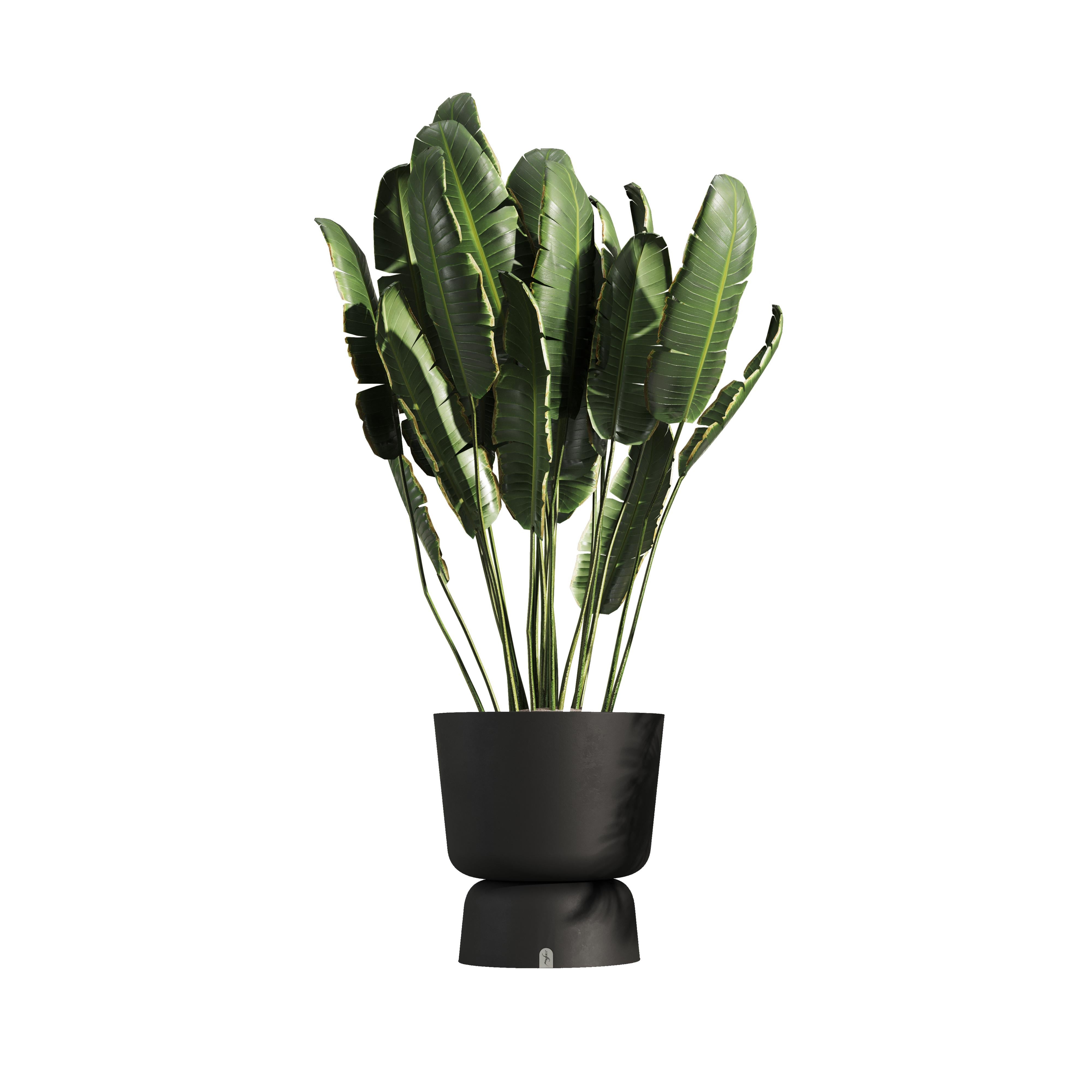 Eden Planter B ein Pflanzgefäß für draußen aus Fiberglas von Myface (Portugiesisch) im Angebot