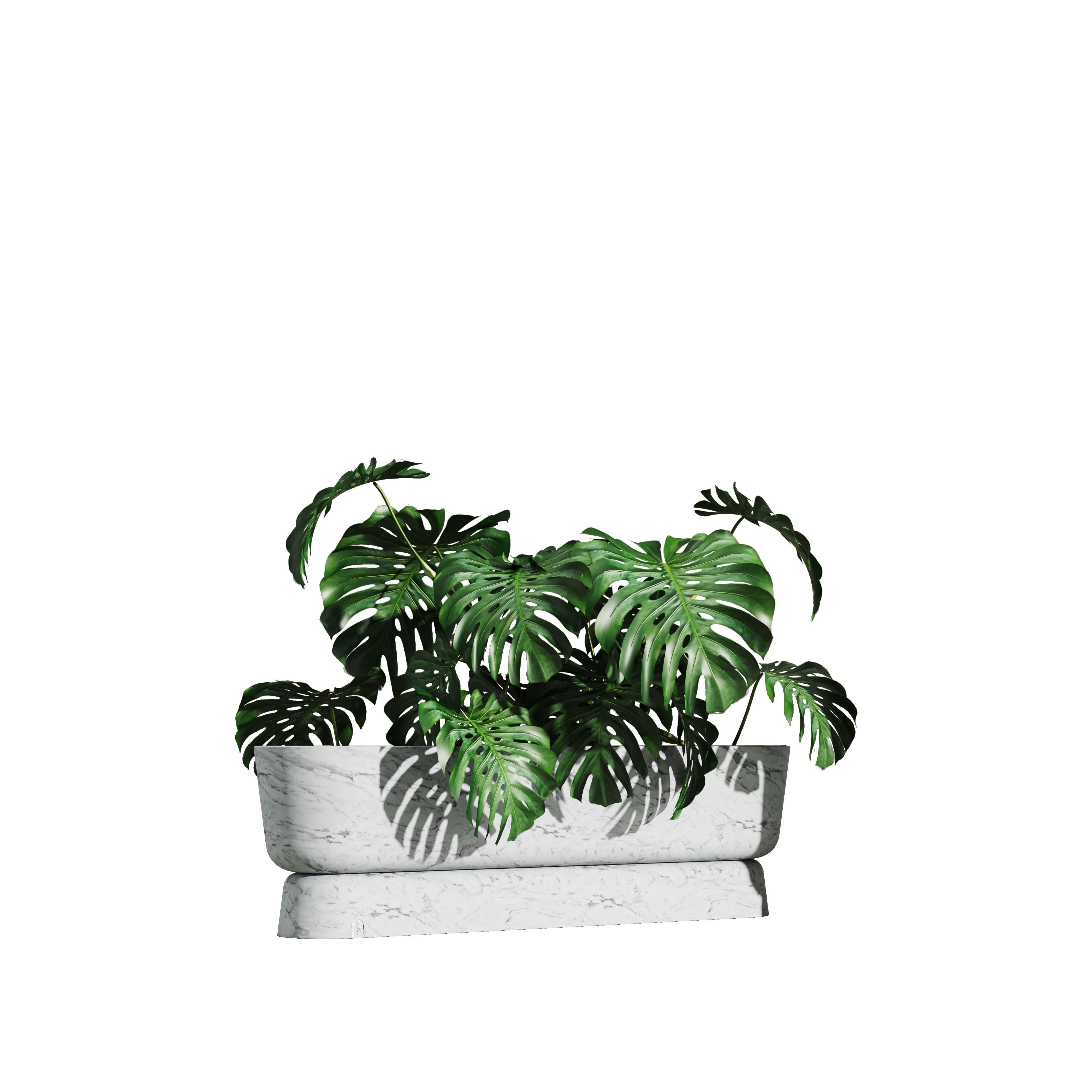 By believing that one of the things we share with our clients is the ambition of finding happiness outdoors, we developed the Eden planters. Nothing transmits more life than nature, and that's the main goal of this piece - to awaken the life and