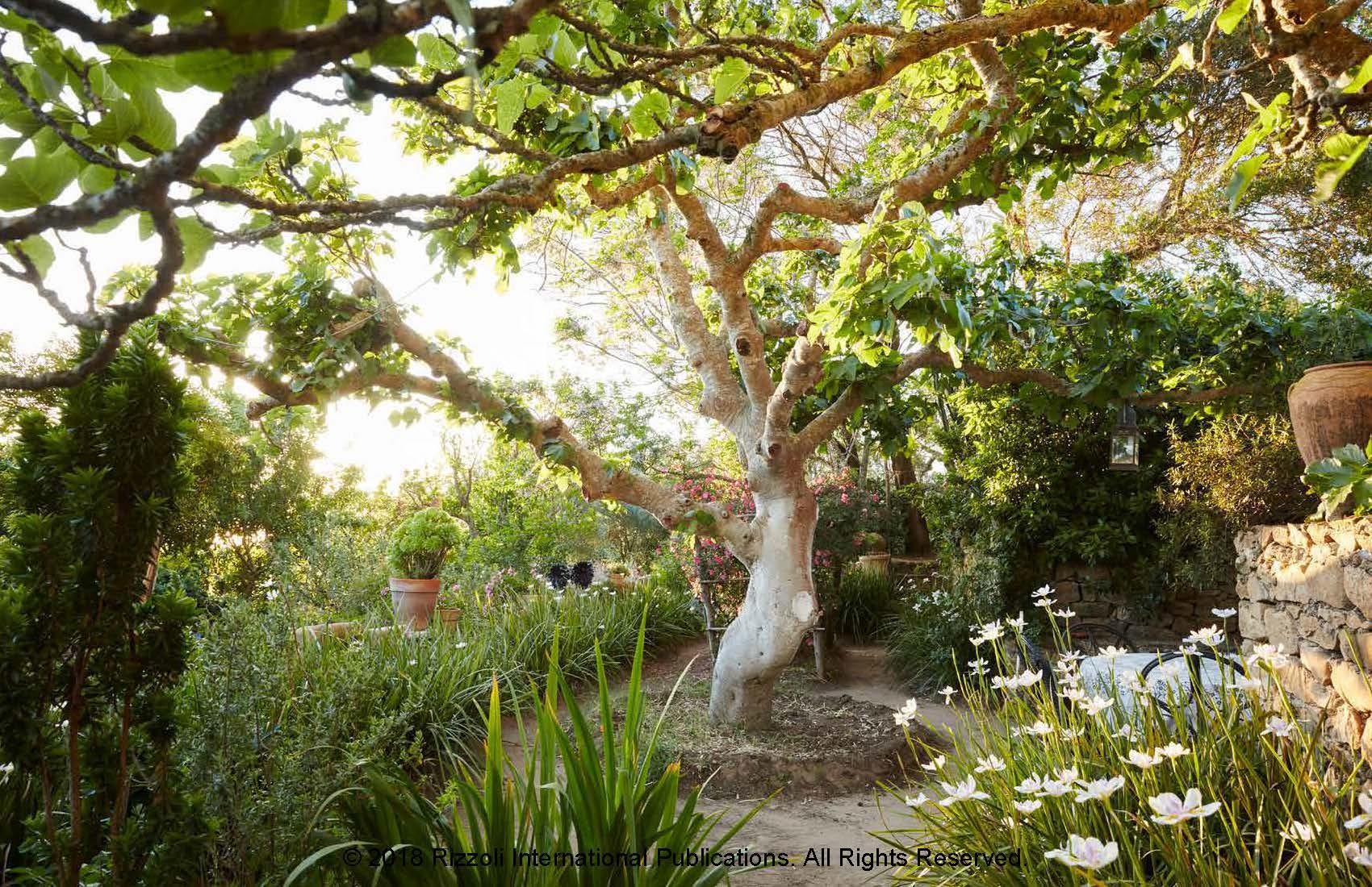 Contemporary Eden Revisited, A Garden in Northern Morocco For Sale
