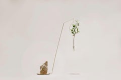 Eden Rock, Vasi galleggianti in ottone, Agustina Bottoni