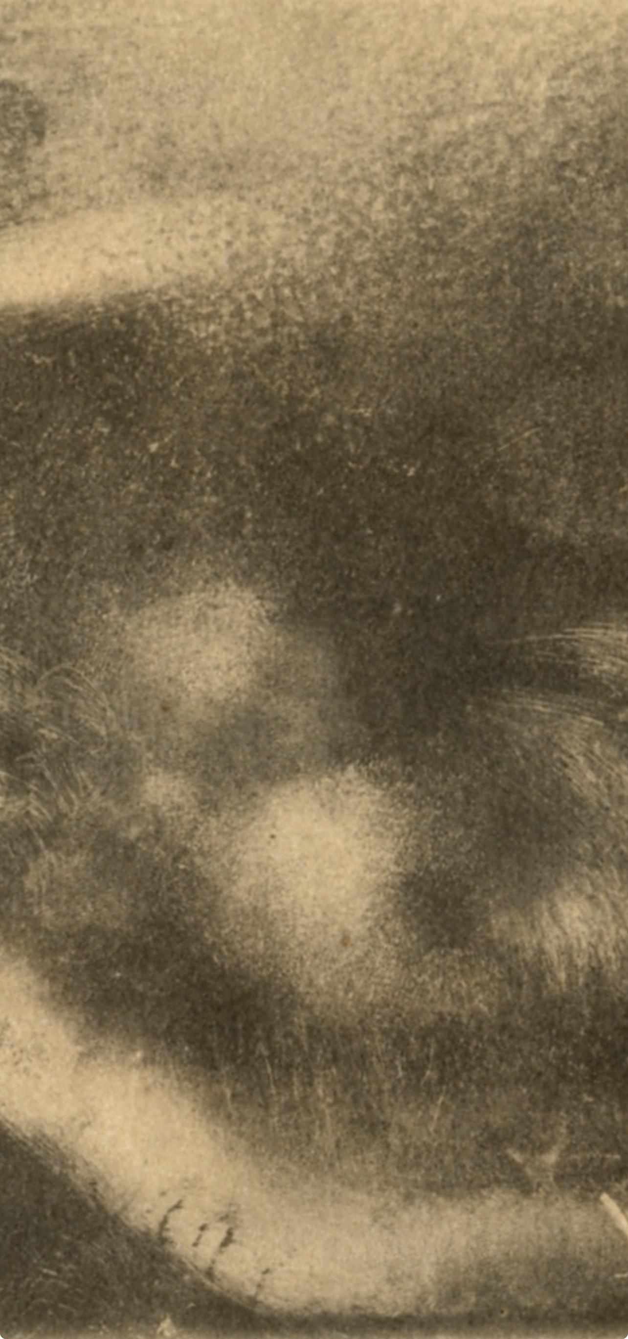 Degas, Nu couche, Monotipos de E. Degas (después de) - Print Impresionista de Edgar Degas