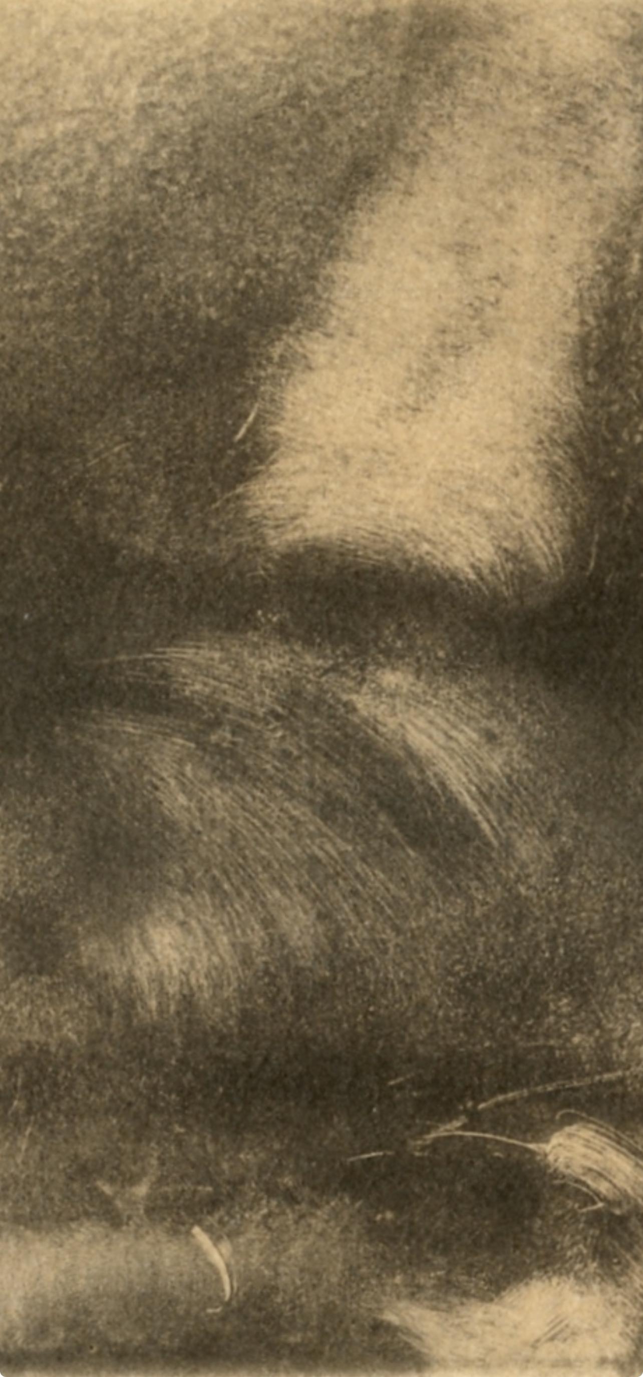 Degas, Nu couche, Monotipos de E. Degas (después de) - Figurative Print Marrón de Edgar Degas