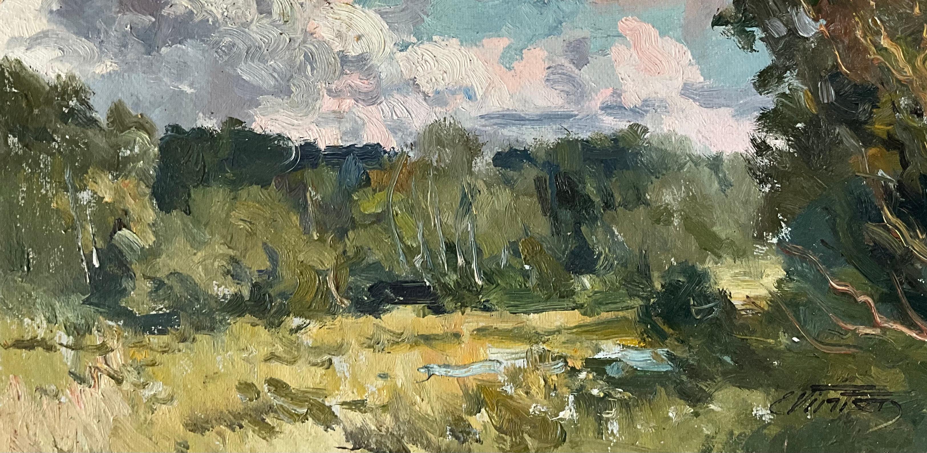 TORMENTA PASAJERA VERANO .EDAGAR VINTERS 1919 2014 IMPRESIONISTA LETÓN en venta 4
