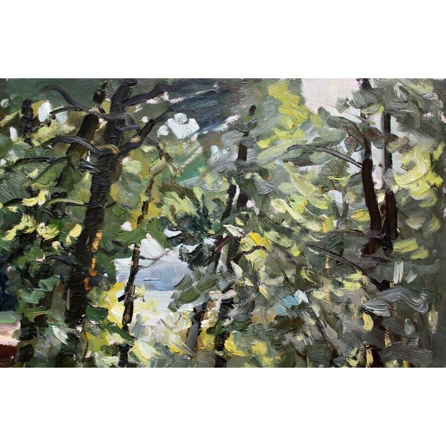 Daugava vicino a Lielvarde. 1972, olio su cartone, 68x93 cm - Painting di Edgars Vinters