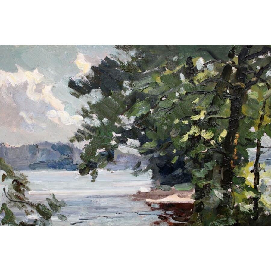 Daugava vicino a Lielvarde. 1972, olio su cartone, 68x93 cm in vendita 1