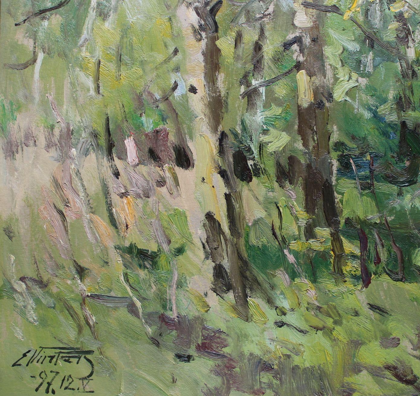 Verano. Óleo/cartón, 66x91 cm - Landscape Painting Gris de Edgars Vinters