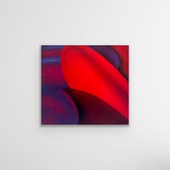 "Fine Detail II" - Red, Blue, Purple Abstract Floral Petal Oil Painting