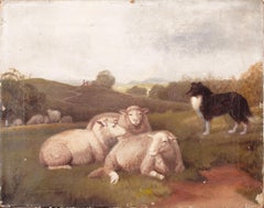 Sheep Dog and Sheep