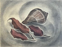 Concha y hojas (Sin título)