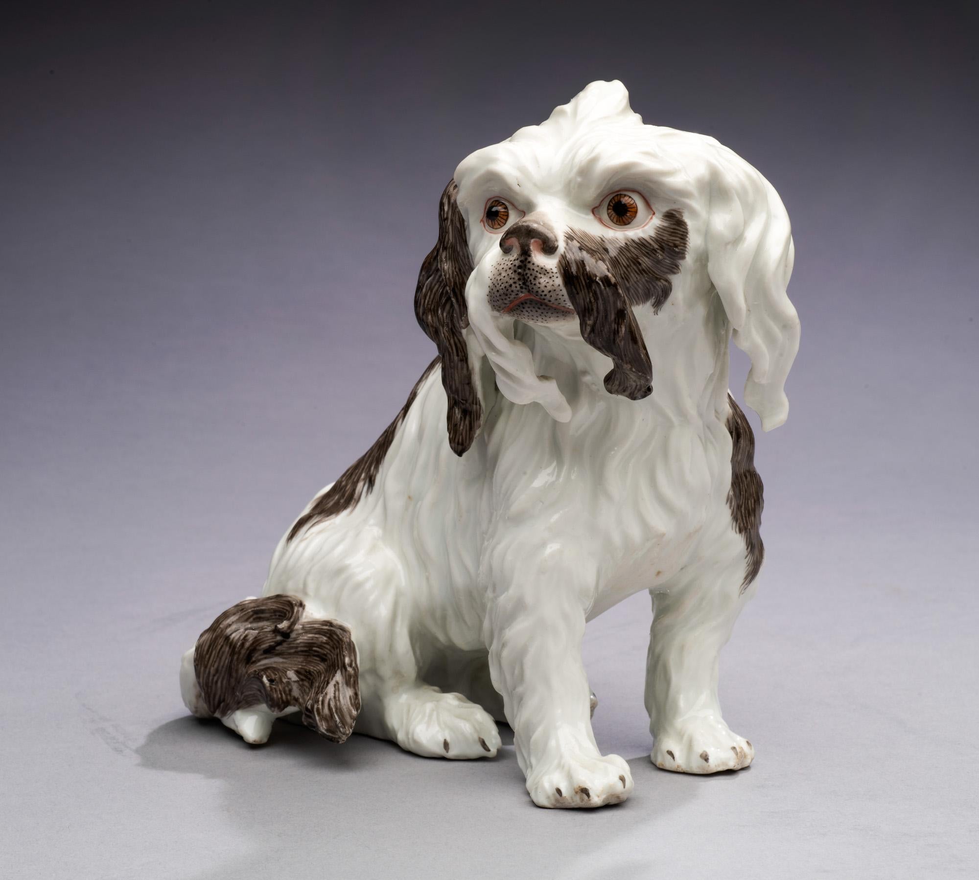 Antique Porcelain Dog Portrait Cavalier King Charles-Edmé Samson circa 1860 For Sale 4